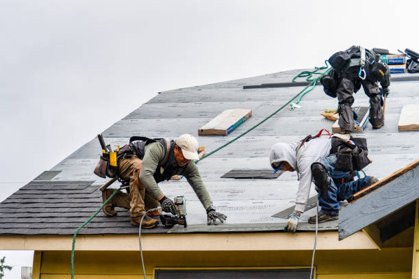 Professional Roofing technician working in Dedham, IA